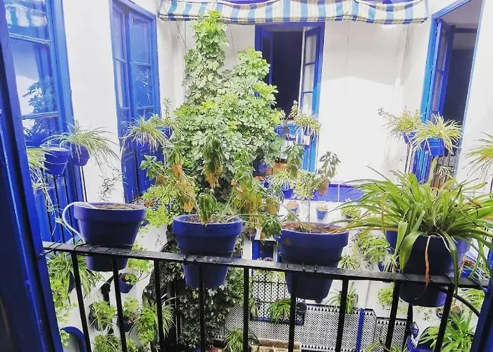 Casa de hóspedes The Dreamers&co 3*