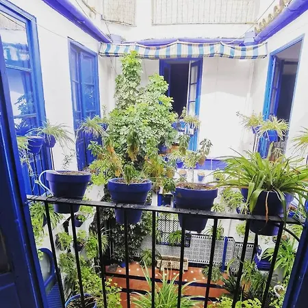 Pensión The Dreamers&co 3*